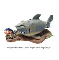 Shark Chasing Two Fishes